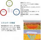 プロフェッショナル 80Khz 超音波キャビテーション マシン、6in1 ラジオ周波数、ボディ スリム スカルプト デバイス、8 つの脂肪レーザー パッド付き