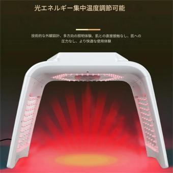 LED光療法マシン、フェイスケアデバイス、7色、232個のライトビーズ、スチームスプレー、2つのEMSパッド、折りたたみ式