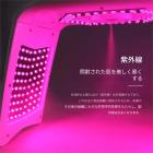 LED光療法マシン、フェイスケアデバイス、7色、232個のライトビーズ、スチームスプレー、2つのEMSパッド、折りたたみ式