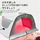 大型LED光療法機、顔と全身用、電気灸装置、サロンとスパ用、赤外線7色、折りたたみ式
