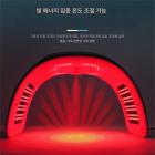 LED 광선 요법 기계 얼굴 관리 장치, 7가지 색상, 184개 빛 구슬, 나노 스팀 스프레이, 접이식