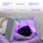 LED Light Therapy Machine Face Care Device, 7 Colors, 222 Light Beads, Nano Steam Spray, Foldable, US Plug