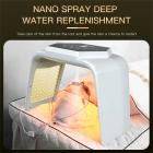 LED Light Therapy Machine Face Care Device, 7 Colors, 232 Light Beads, Nano Steam Spray, with 2 EMS Pads, Foldable, US Plug