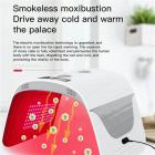 Large LED Light Therapy Machine for Face and Full Body, Electric Moxibustion Device for Salon and SPA Use, Infraded 7 Colors, Foldable, US Plug