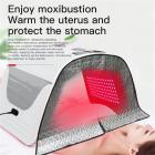 Large LED Light Therapy Machine for Face and Full Body, Electric Moxibustion Device for Salon and SPA Use, Infraded 7 Colors, Foldable, US Plug